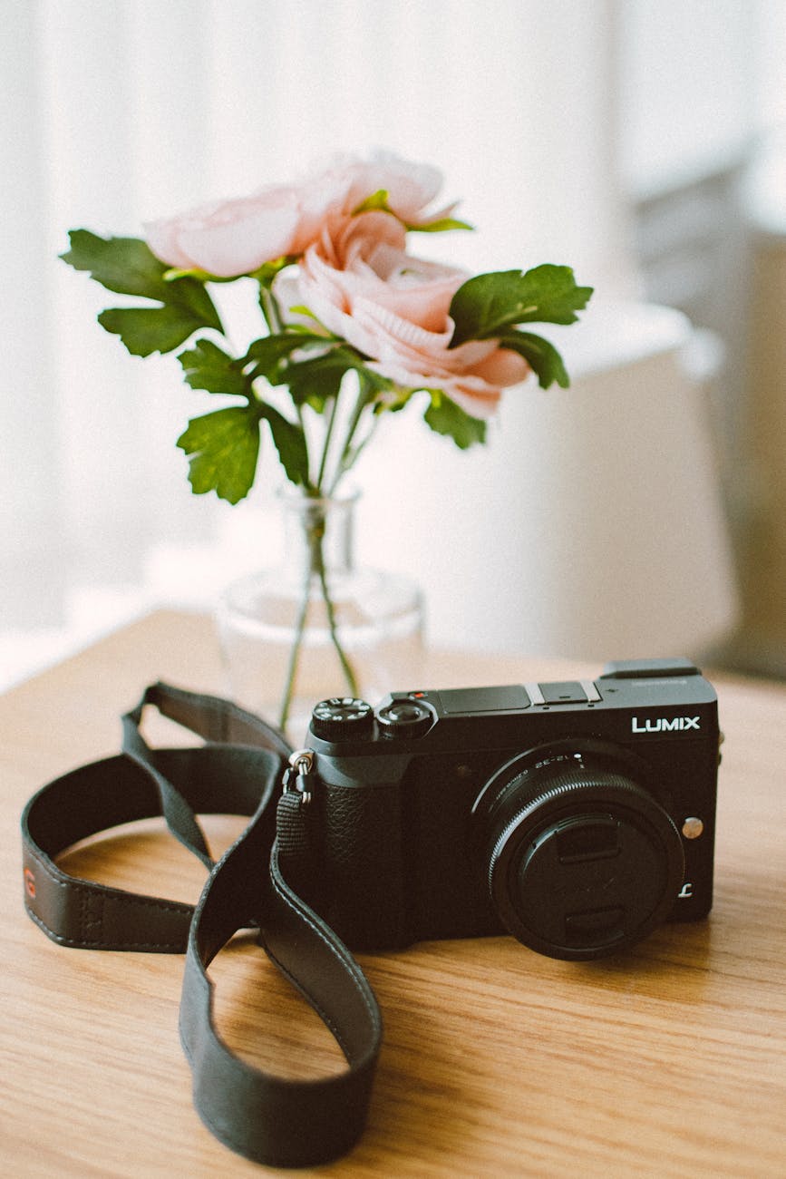 Best Places to Buy Refurbished DSLRs in 2025 - Dutch|Thrift