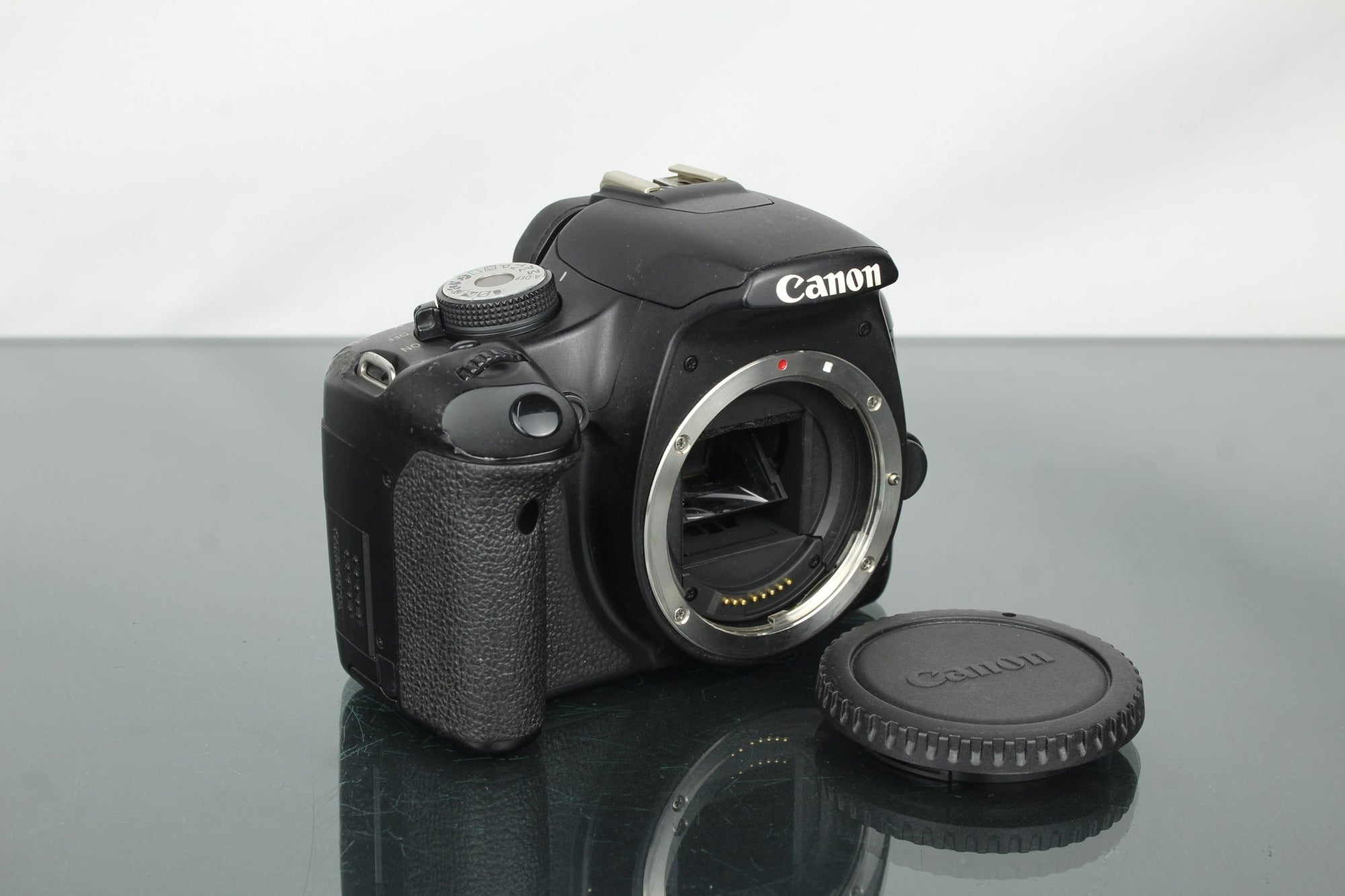 Canon EOS 500D - Dutch|Thrift